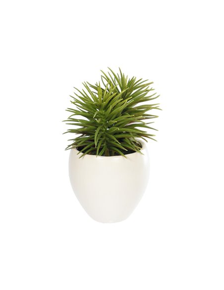 Pino Искусственное растение с белым керамическим кашпо 16 см